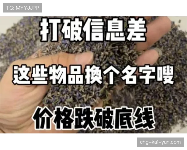 职业比赛信息差关键解析